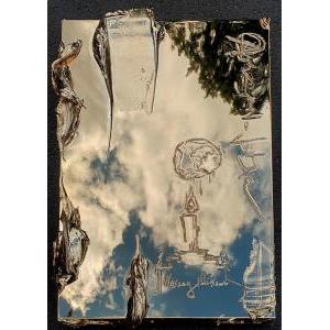 Necessary Illusion


Writing on the artwork：
Anarhiofobia. Necessary Illusion. 
Perfect ＄ystem

Colour：Gold
61 x 46 x 7cm 
Sterling Silver, Aluminium, Polyester